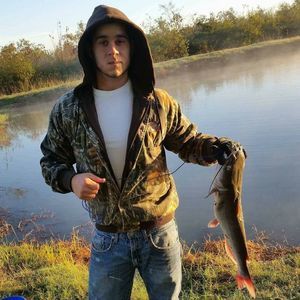 Meet your Posher, Joey